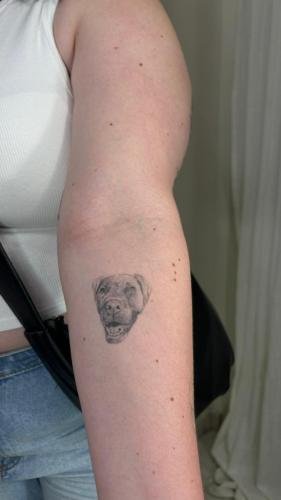 af3b2159-1154-456c-973b-8028dfeeff4d