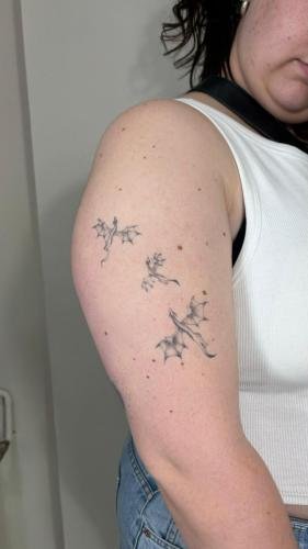 dee8ef2d-9a5c-40dd-8b83-87efee20b692